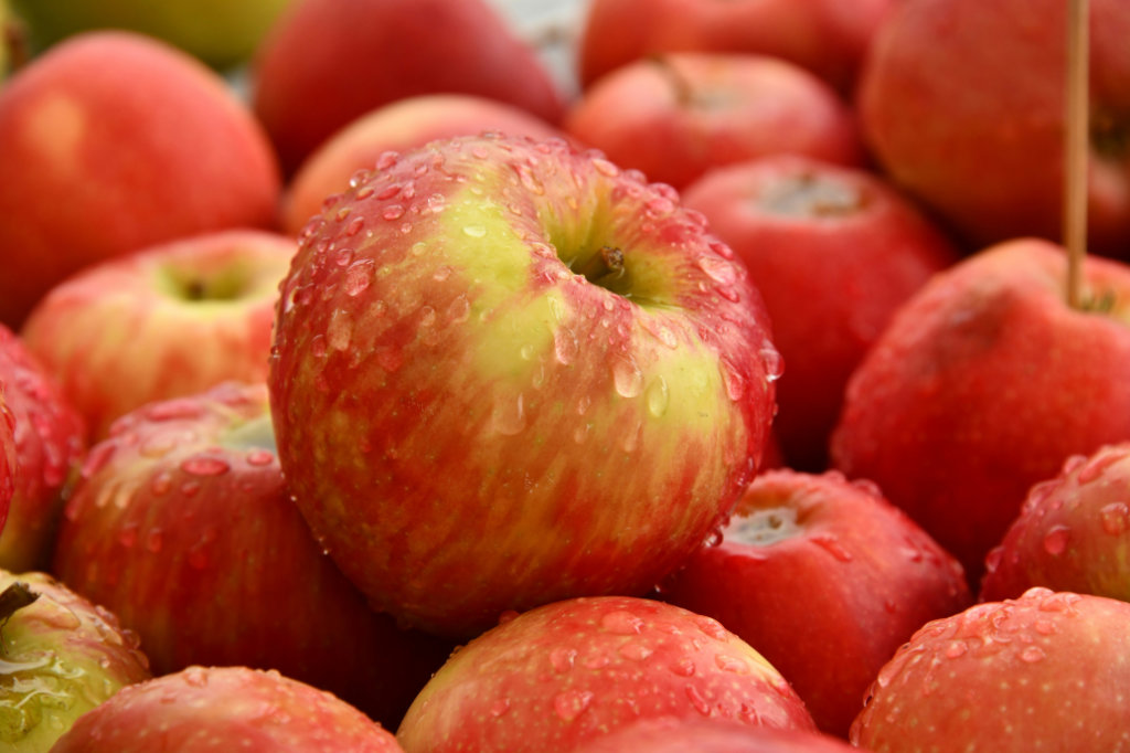 A bundle of honeycrisp apples.
